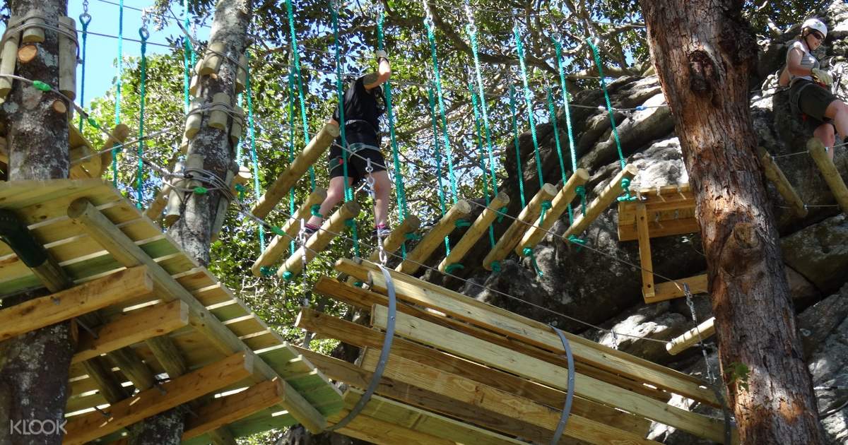 Treetop Climbing and Ziplining Experience Klook Hong Kong